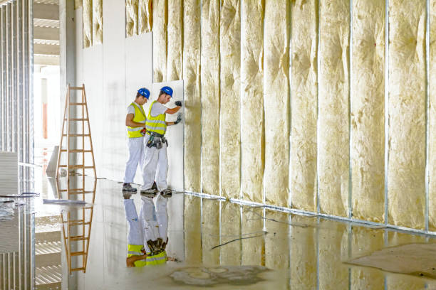 Best Spray Foam Insulation  in New Middletown, OH